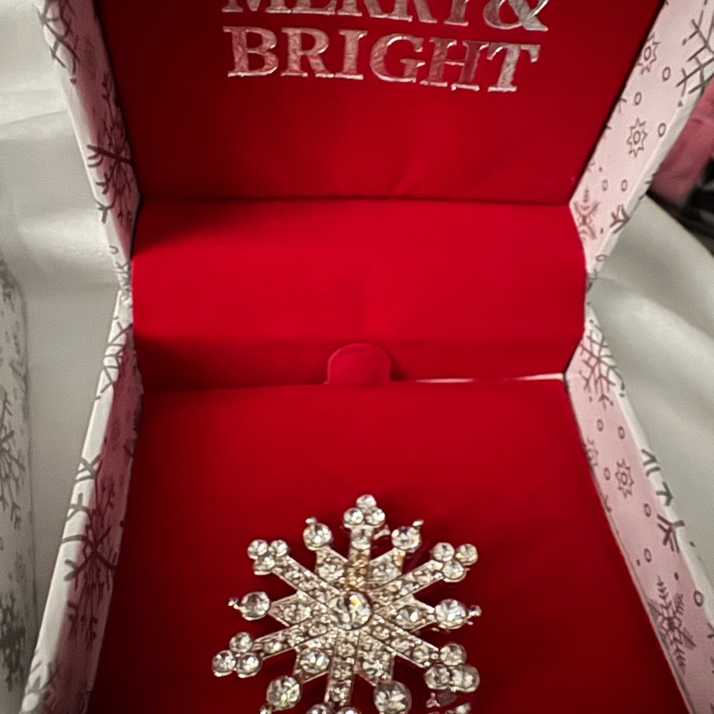 NIB Ice Red Cardinal and Snowflake Brooch Set ready to gift - Picture 4 of 9